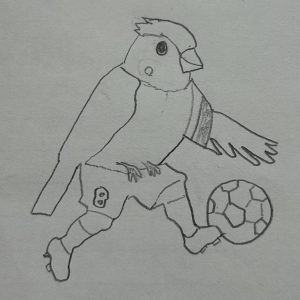 ほととぎす