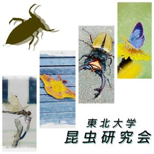 東北秋の昆虫展