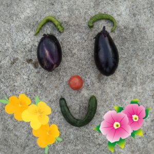 押し花販売
